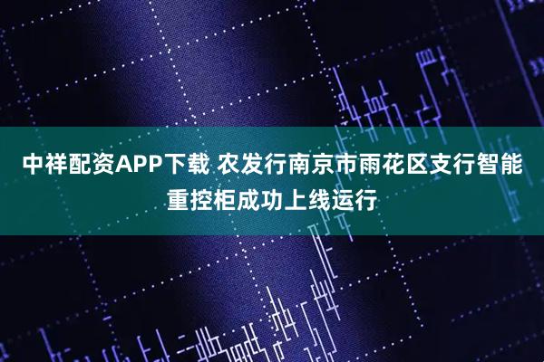 中祥配资APP下载 农发行南京市雨花区支行智能重控柜成功上线运行