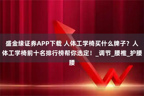 盛金缘证券APP下载 人体工学椅买什么牌子？人体工学椅前十名排行榜帮你选定！_调节_腰椎_护腰
