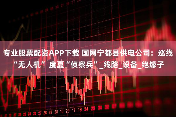 专业股票配资APP下载 国网宁都县供电公司：巡线“无人机” 度夏“侦察兵”_线路_设备_绝缘子