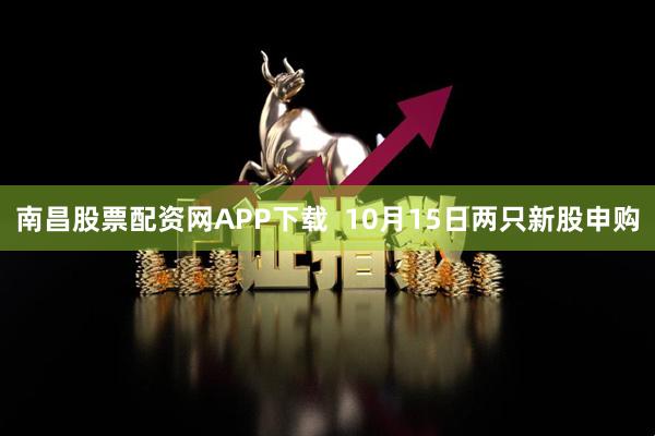 南昌股票配资网APP下载  10月15日两只新股申购