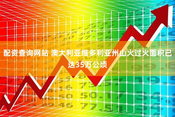 配资查询网站 澳大利亚维多利亚州山火过火面积已达35万公顷