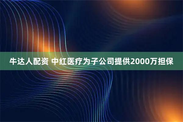 牛达人配资 中红医疗为子公司提供2000万担保