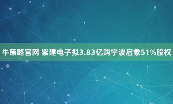 牛策略官网 紫建电子拟3.83亿购宁波启象51%股权