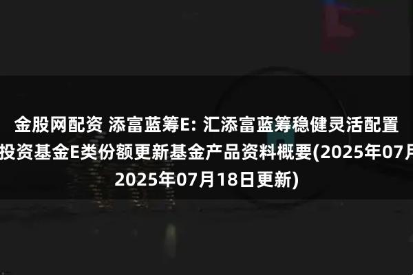 金股网配资 添富蓝筹E: 汇添富蓝筹稳健灵活配置混合型证券投资基金E类份额更新基金产品资料概要(2025年07月18日更新)