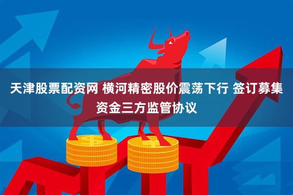 天津股票配资网 横河精密股价震荡下行 签订募集资金三方监管协议